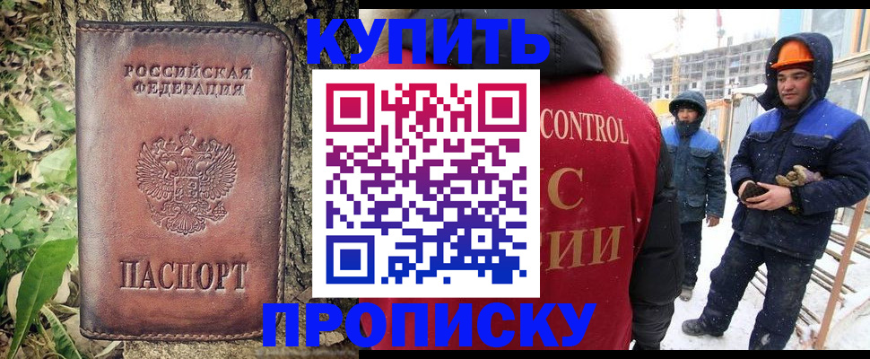 где прописаться в Димитровграде